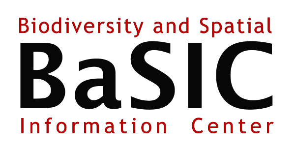 BaSIC logo