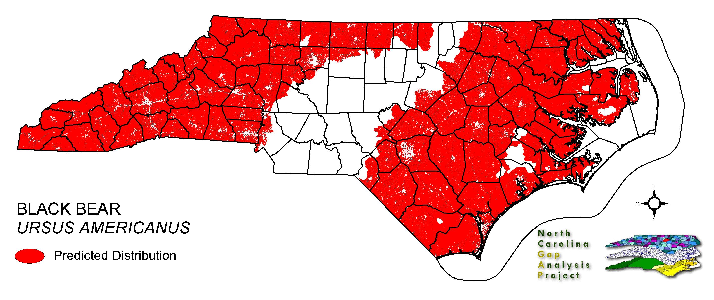 black bear habitat map