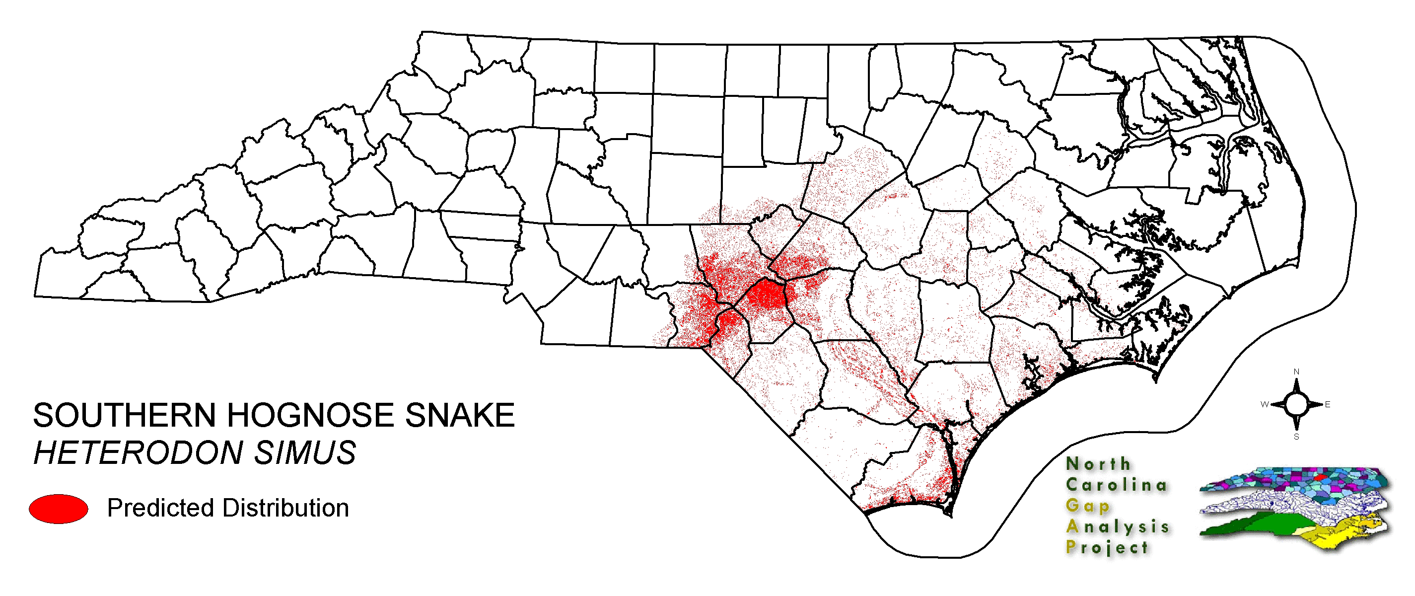 southern hognose snake range