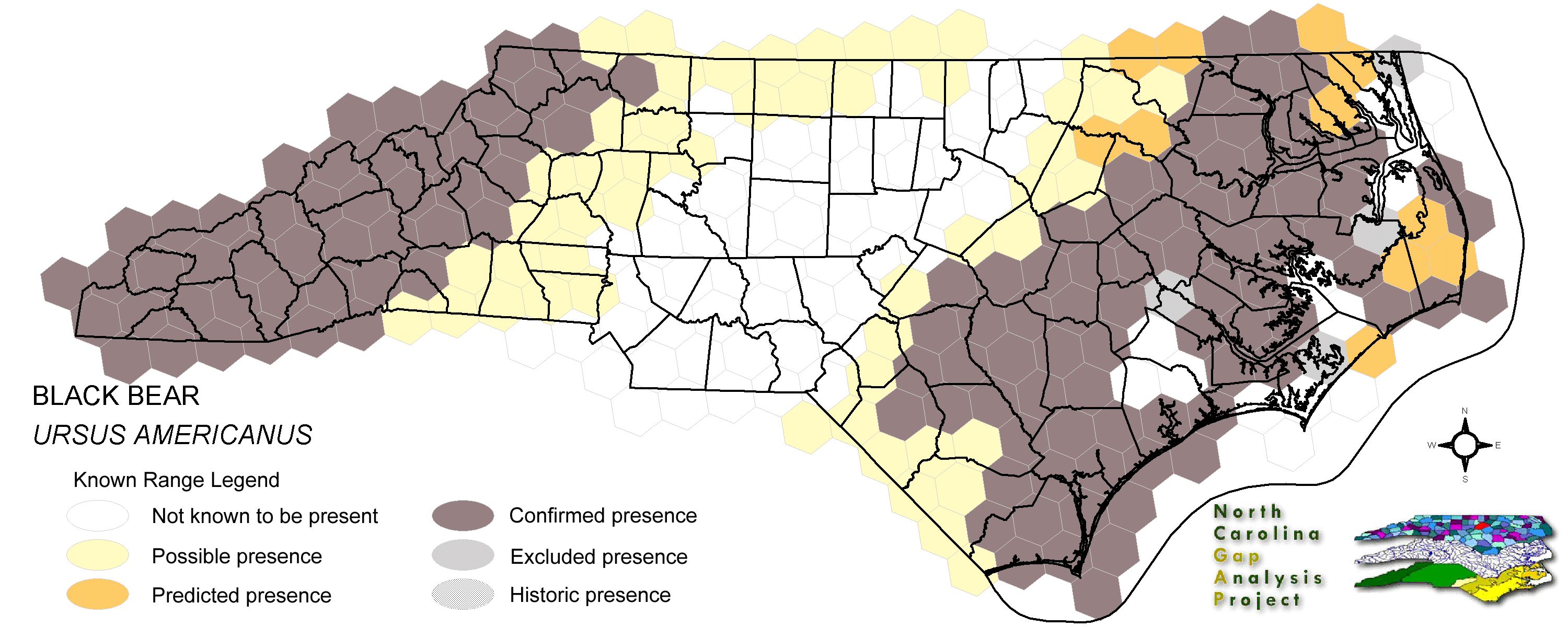 black bear habitat map