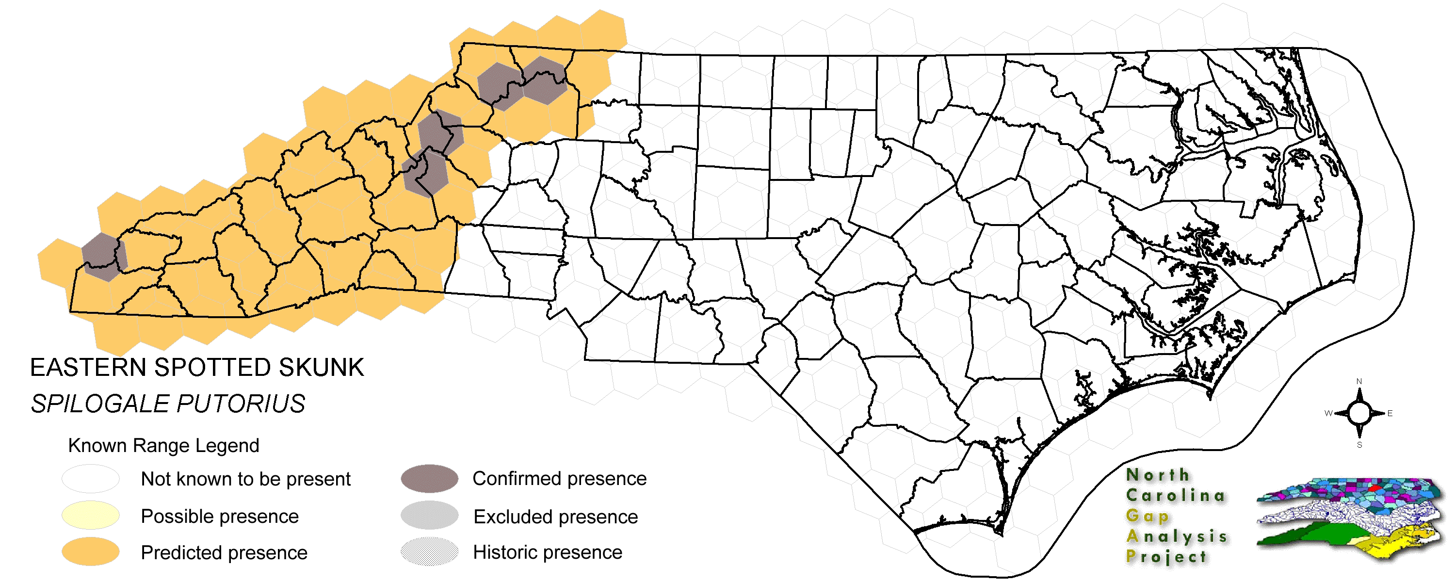 Spotted Skunk Range