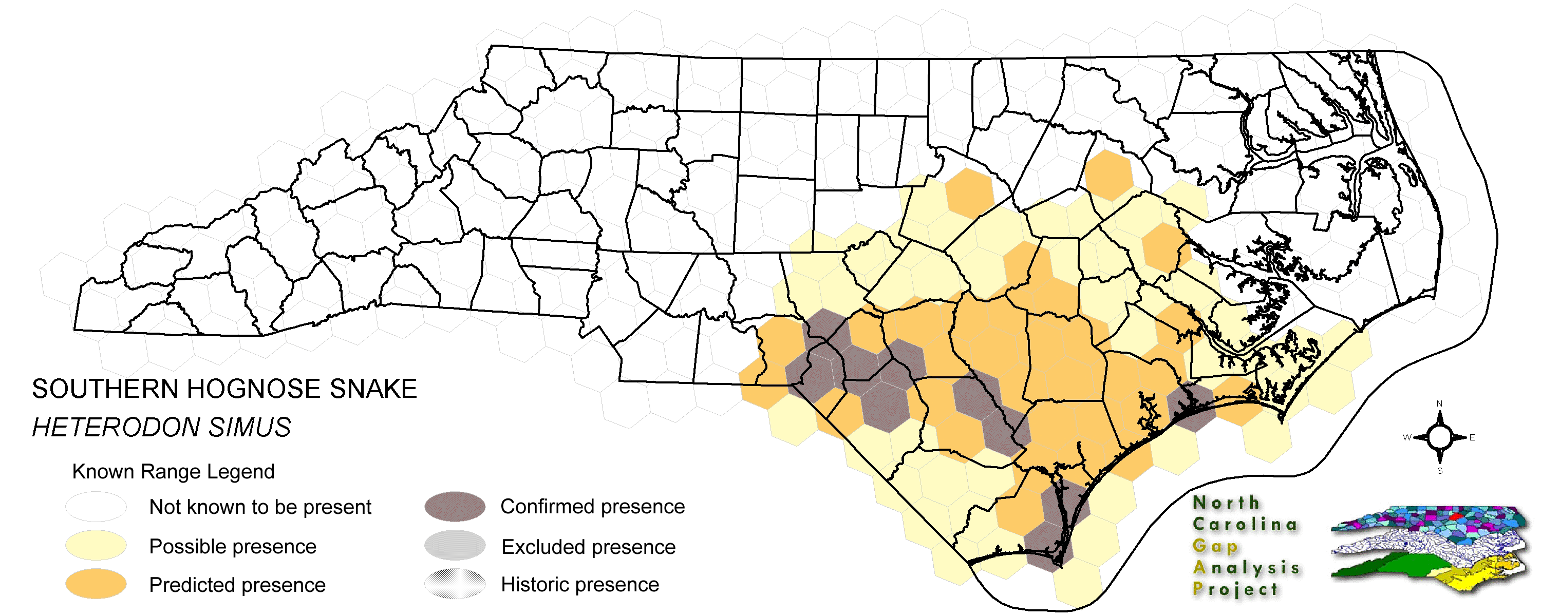 southern hognose snake range