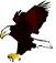 Eagle clip art