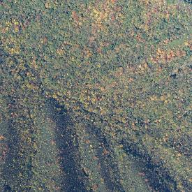 Digital aerial photograph recorded during leaf change in a hilly area.